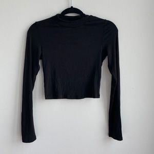 Aritzia long sleeve crop top